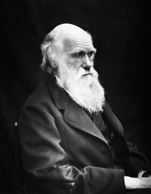 darwin.jpg