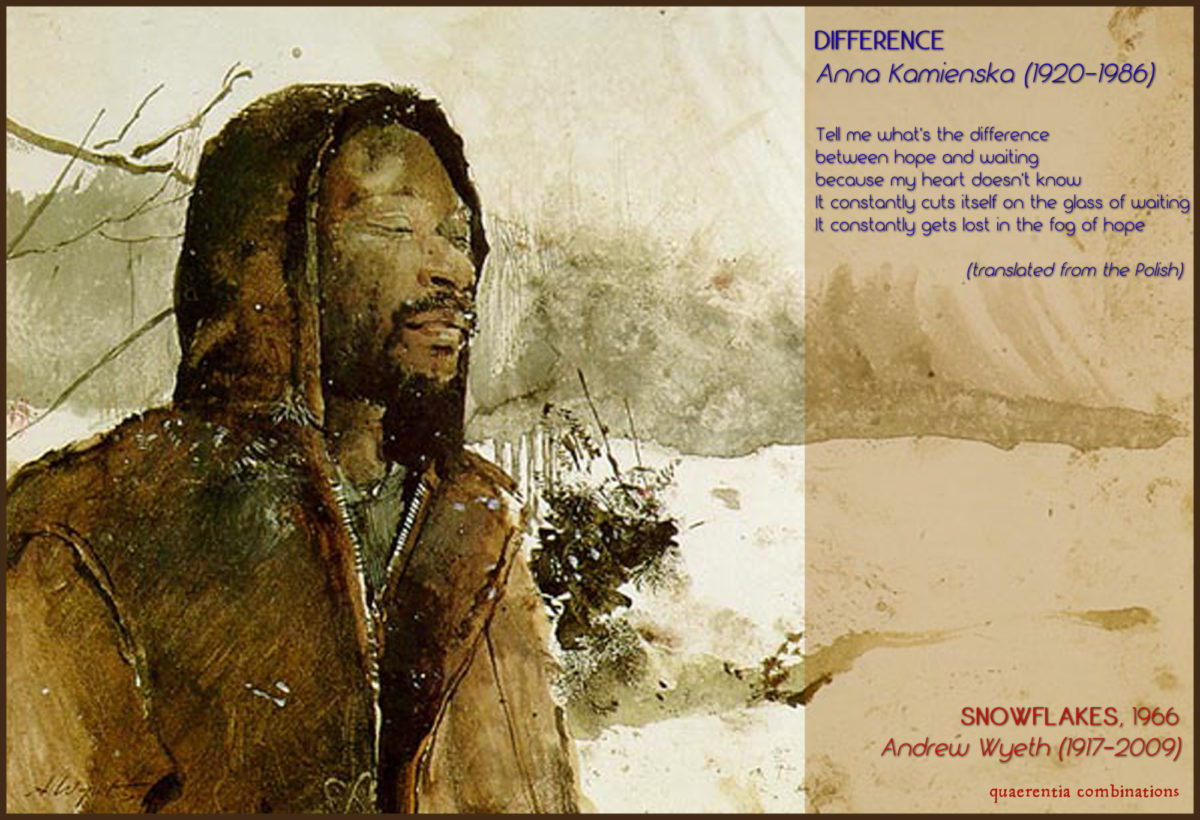 Andrew-Wyeth---Snowflakes-(1966)-2
