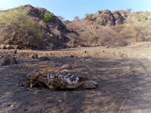 E Africa Drought ( Irina Fuhrmann/Oxfam)