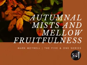 5&1 #33 - Autumnal Mists