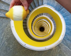 Hugo Suissas perspective - lemon rind