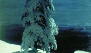Shishkin, Ivan - IN THE WILD NORTH