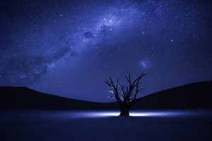 Deadvlei - NatGeo 2015 contest