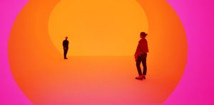 QCombo #22: James Turrell & Clive James’ Maple