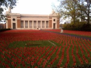 Flanders Field of Poppies - The Royal British Legion.