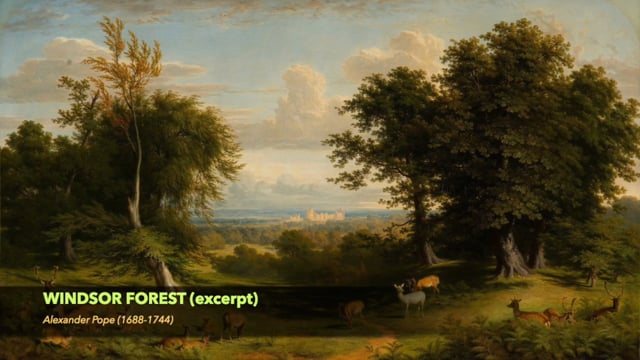 vimeo placeholder image