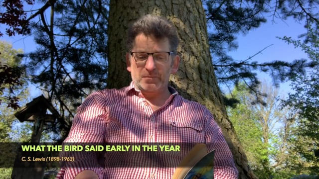 vimeo placeholder image