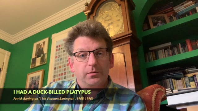 vimeo placeholder image