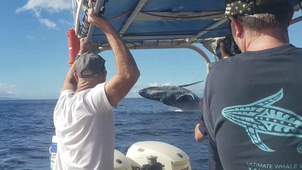 youtube placeholder image